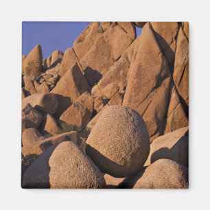 USA, Kalifornien, Joshua Tree National Park. Magnet