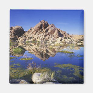 USA, Kalifornien, Joshua Tree National Park, Magnet