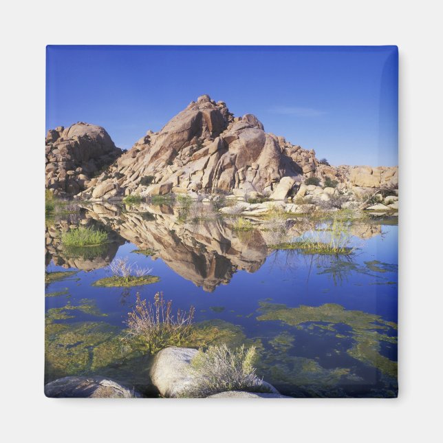 USA, Kalifornien, Joshua Tree National Park, Magnet (Framsidan)