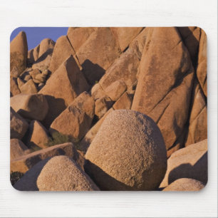 USA, Kalifornien, Joshua Tree National Park. Musmatta