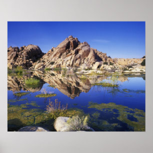USA, Kalifornien, Joshua Tree National Park, Poster