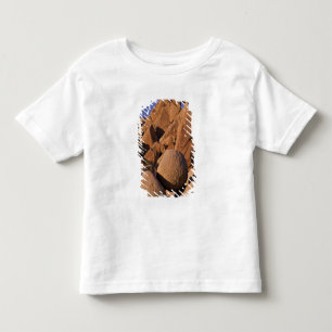 USA, Kalifornien, Joshua Tree National Park. T-shirt