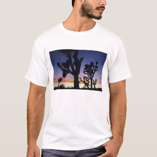 USA, Kalifornien, Joshua Tree National Park, T-shirt