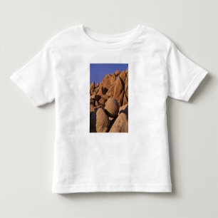 USA, Kalifornien, Joshua Tree National Park. T-shirt