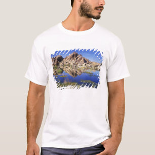 USA, Kalifornien, Joshua Tree National Park, Tee