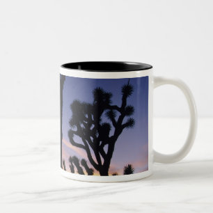 USA, Kalifornien, Joshua Tree National Park, Två-Tonad Mugg