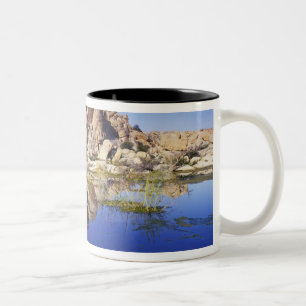 USA, Kalifornien, Joshua Tree National Park, Två-Tonad Mugg