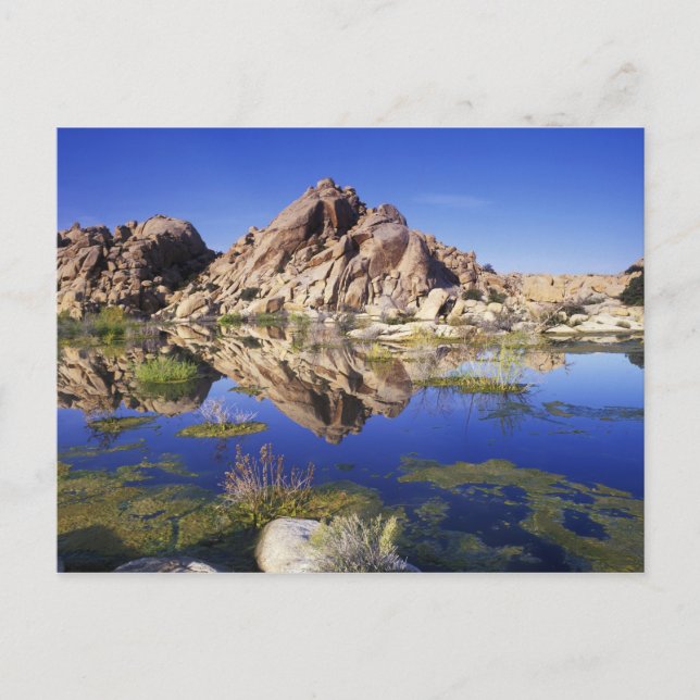 USA, Kalifornien, Joshua Tree National Park, Vykort (Framsida)