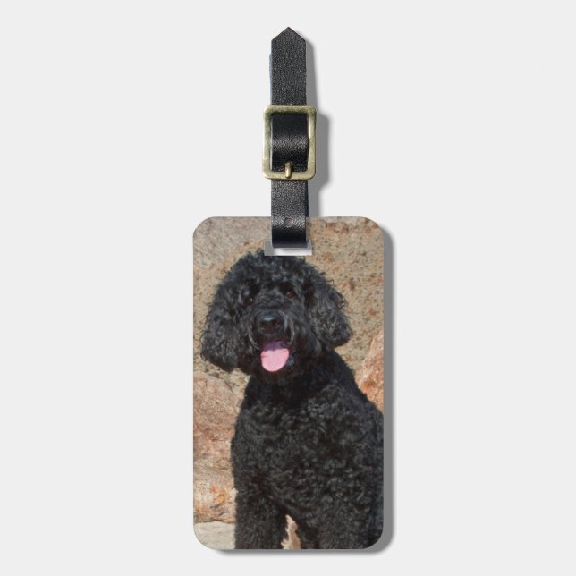 USA Kalifornien. Labradoodle sitta Bagagebricka (Vertikal Framsida)