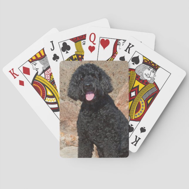 USA, Kalifornien. Labradoodle Sittning Spel Kort (Baksidan)