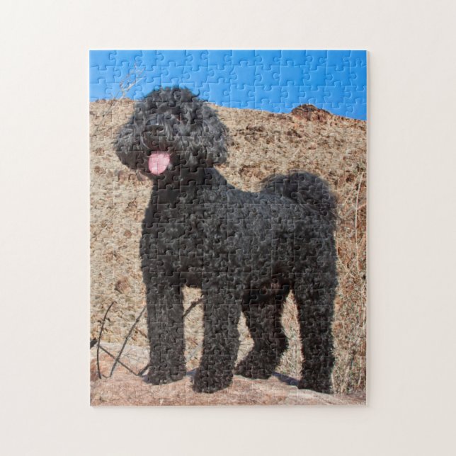 USA, Kalifornien. Labradoodle stående Pussel (Vertikal)