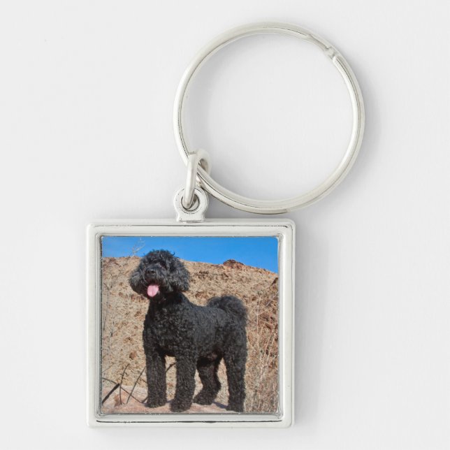 USA, Kalifornien. Labradoodle Ständiga Fyrkantig Silverfärgad Nyckelring (Framsidan)