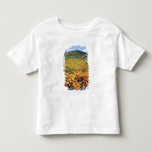 USA, Kalifornien, Lake Elsinore. Kalifornien Tee