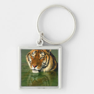 USA, Kalifornien, Los Angeles County. Bengal Fyrkantig Silverfärgad Nyckelring