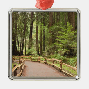 USA, Kalifornien, Marin County, Muir Woods Julgransprydnad Metall