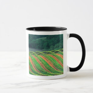 USA, Kalifornien, Mendocino County, en spaljé Mugg