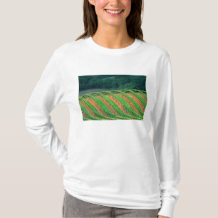 USA, Kalifornien, Mendocino County, en spaljé T Shirt
