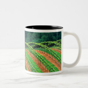 USA, Kalifornien, Mendocino County, spaljé Två-Tonad Mugg