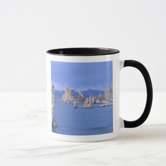 USA, Kalifornien, Mono Lake Mugg (Höger)