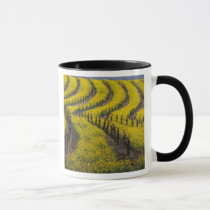 USA, Kalifornien, Napa Valley, Los Carneros Ava. Mugg