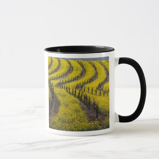 USA, Kalifornien, Napa Valley, Los Carneros Ava. Mugg (Höger)