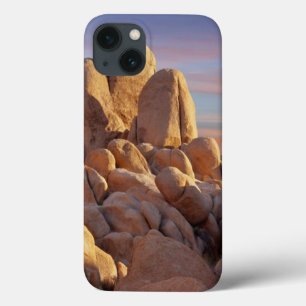 USA Kalifornien, nationalpark för Joshua träd