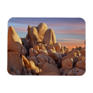 USA Kalifornien, nationalpark för Joshua träd Magnet