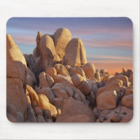 USA Kalifornien, nationalpark för Joshua träd