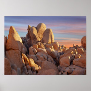 USA Kalifornien, nationalpark för Joshua träd Poster
