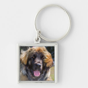 USA, Kalifornien. Porträtt av Leonberger sittande Fyrkantig Silverfärgad Nyckelring