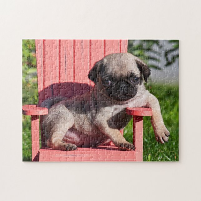 USA, Kalifornien. Pug Puppy Slouching Pussel (Horisontell)