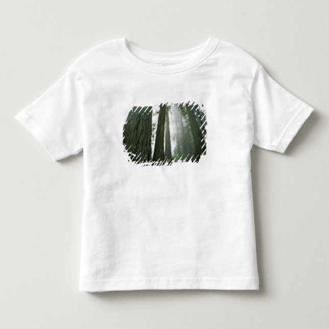 USA, Kalifornien, Redwood National Park, 2 Tee (Framsida)