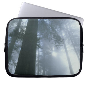 USA, Kalifornien, Redwood Nationalpark, Del Laptop Sleeve