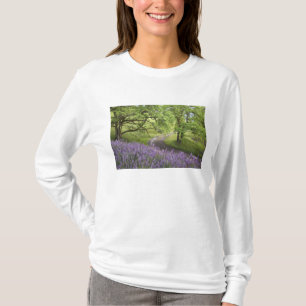 USA, Kalifornien, Redwood Nationalpark. Smuts Tee