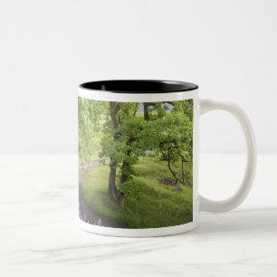 USA, Kalifornien, Redwood Nationalpark. Smuts Två-Tonad Mugg