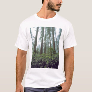 USA, Kalifornien, Redwood NP. Dimma filtrerar T Shirt