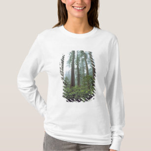 USA, Kalifornien, Redwood NP. Dimma filtrerar T-shirt