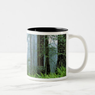 USA, Kalifornien, Redwood NP. Redwood-träd Två-Tonad Mugg