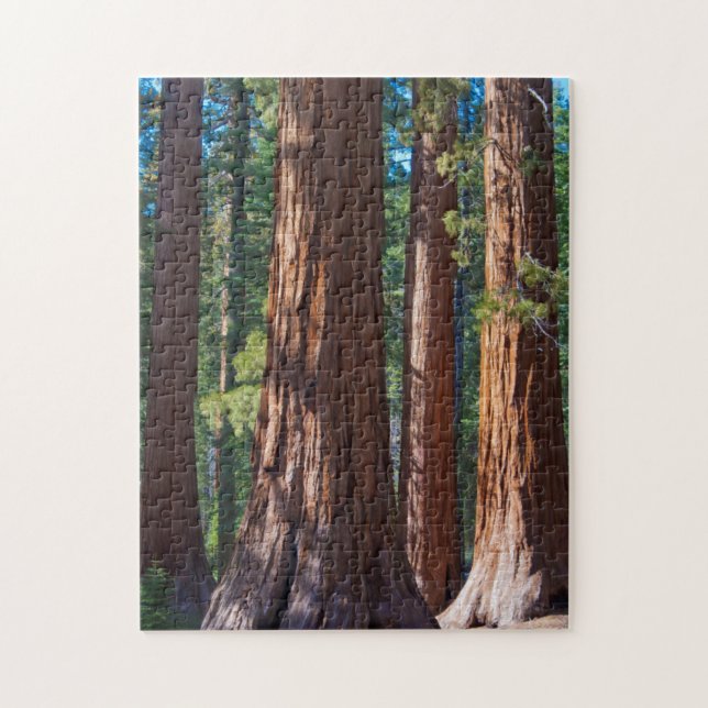 USA, Kalifornien. Redwood Träd Trunks, Mariposa Pussel (Vertikal)