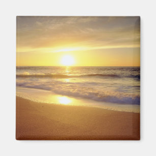 USA, Kalifornien, San Diego. La Jolla Shores Magnet