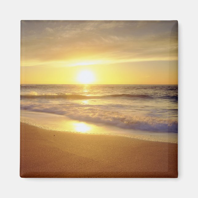 USA, Kalifornien, San Diego. La Jolla Shores Magnet (Framsidan)