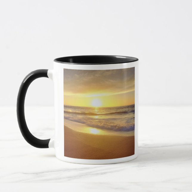 USA, Kalifornien, San Diego. La Jolla Shores Mugg (Vänster)
