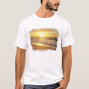 USA, Kalifornien, San Diego. La Jolla Shores Tee Shirt