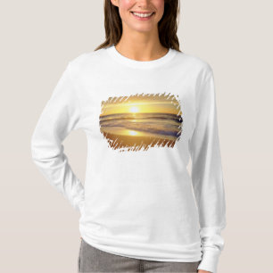 USA, Kalifornien, San Diego. La Jolla Shores Tee Shirt