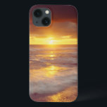 USA, Kalifornien, San Diego. Sunset Cliffs strand<br><div class="desc">COPYRIGHT Christopher Talbot Frank / Jaynes Gallery / DanitaDelimont.com | US05 BJA0045.jpg | USA,  Kalifornien,  San Diego. Sunset Cliffs strand på Stilla havet vid solnedgången. Kredit: Christopher Talbot Frank / Jaynes Gallery / DanitaDelimont.com</div>