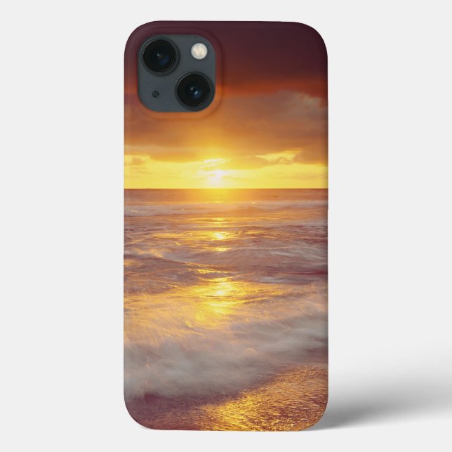 USA, Kalifornien, San Diego. Sunset Cliffs strand (Baksida)