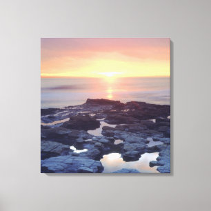 USA, Kalifornien, San Diego. Sunset Cliffs tidvatt Canvastryck
