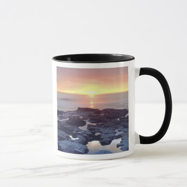 USA, Kalifornien, San Diego. Sunset Cliffs tidvatt Mugg (Höger)