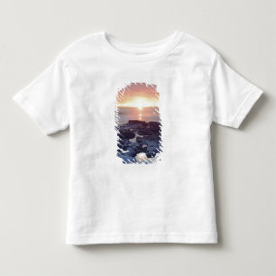 USA, Kalifornien, San Diego. Sunset Cliffs tidvatt T-shirt
