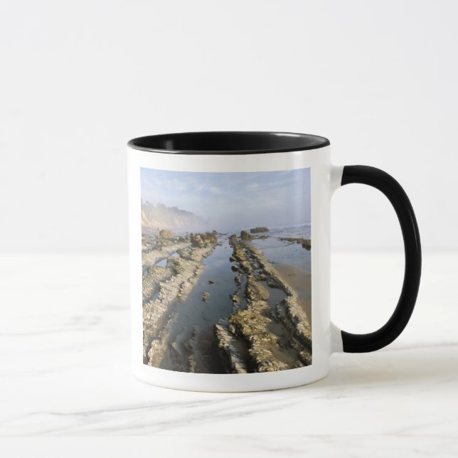 USA, Kalifornien, Santa Barbara, Henrys Beach. Mugg (Höger)